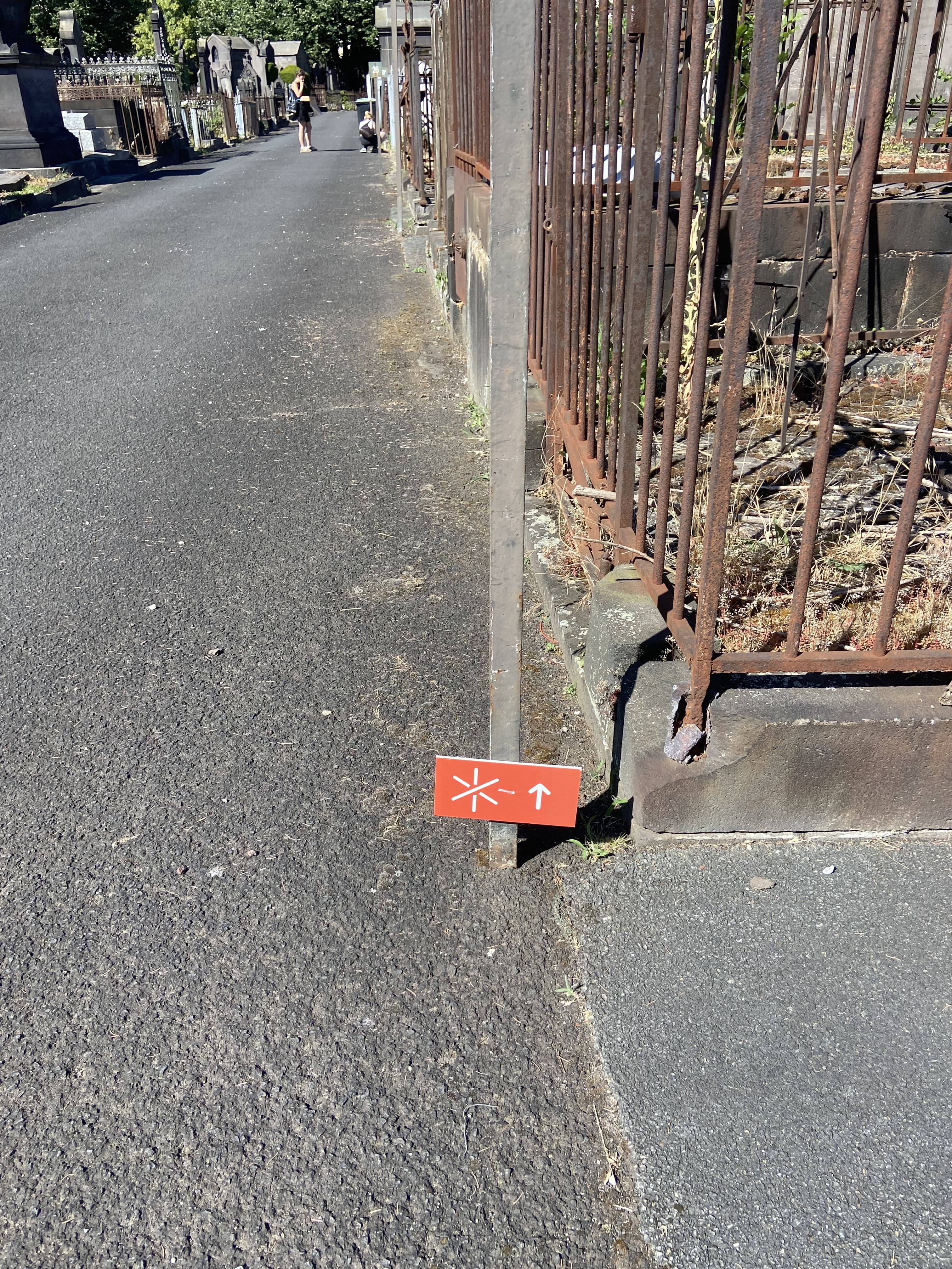 Image 6